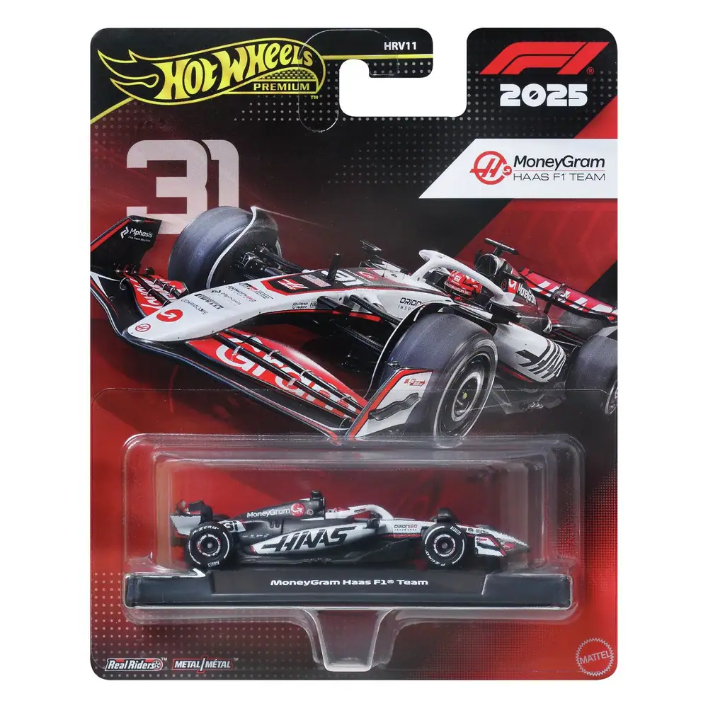 Hot Wheels F1 Collectable Gene Haas Styled Toy Car